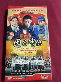 DVD 因为有你 5碟 拆封