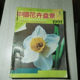 中国花卉盆景1991年1-12期