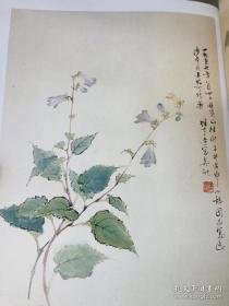 黎雄才花鸟草虫 名家翰墨