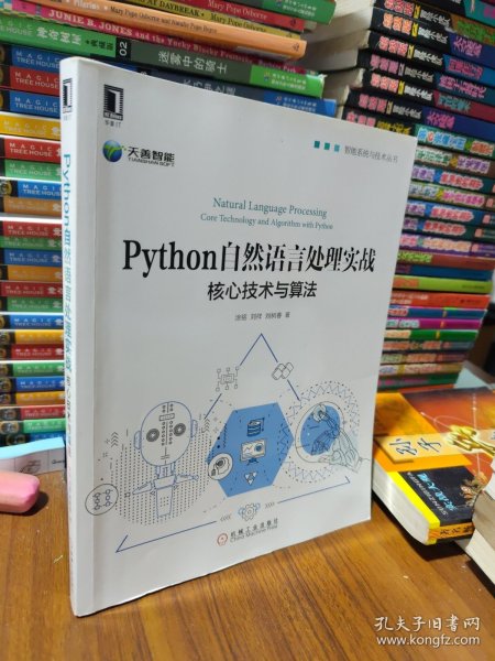 Python自然语言处理实战：核心技术与算法