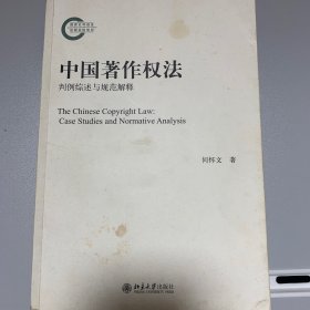 中国著作权法：判例综述与规范解释