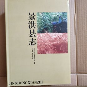 景洪县志