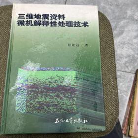 三维地震资料微机解释性处理技术