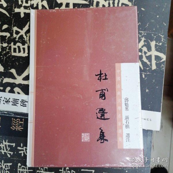 杜甫选集：中国古典文学名家选集