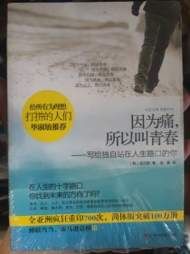 因为痛，所以叫青春：写给独自站在人生路口的你.