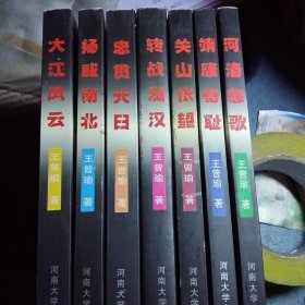 宋代纪实小说系列（靖康奇耻.河洛悲歌.大江风云.转战湖汉.扬威南北.关山怅忘.忠贯天日）七本全套