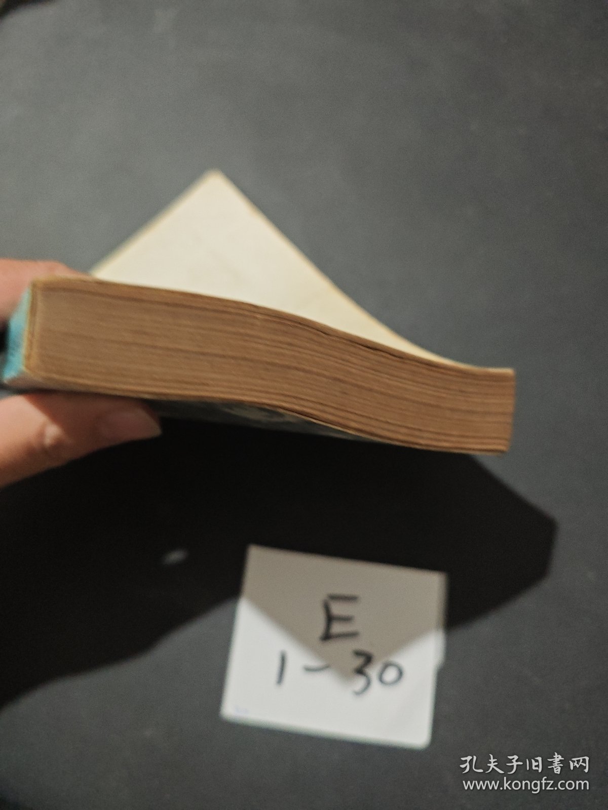 纵横捭阖-斯大林