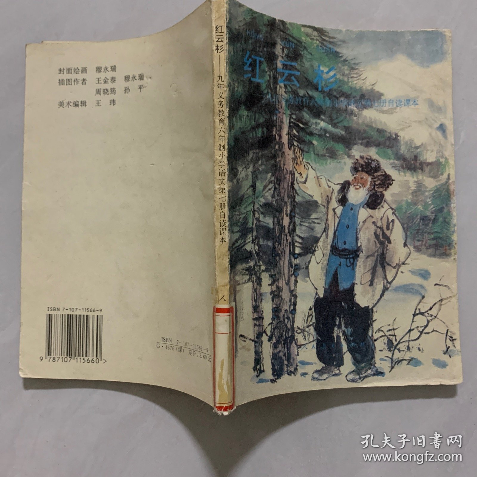 红云杉.九年义务教育六年制小学语文第七册自读课本