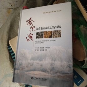 哈尔滨城市地质调查及综合研究/中国城市地质调查系列丛书