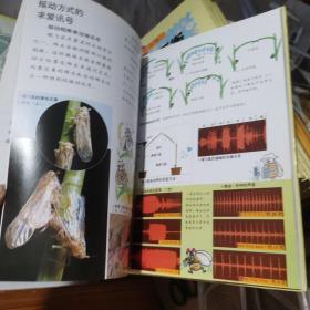 自然科学宝库 奇妙的昆虫