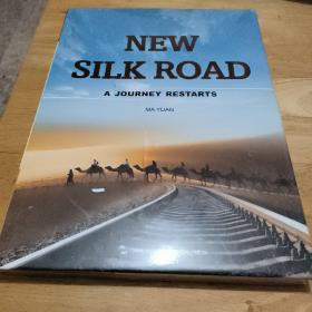 NEW   SILK   ROAD（心丝绸之路）