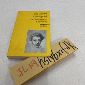 Kierkegaard 克尔凯郭尔哲学导论