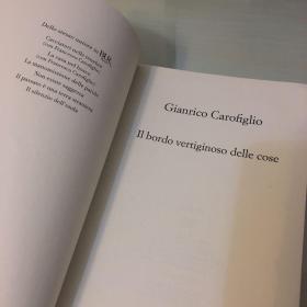 Il bordo vertiginoso delle cose（意大利语原版，《万物令人晕眩的边缘》，意大利当代名家卡罗菲里奥代表作，2019年出版，压膜本，无笔记勾画）