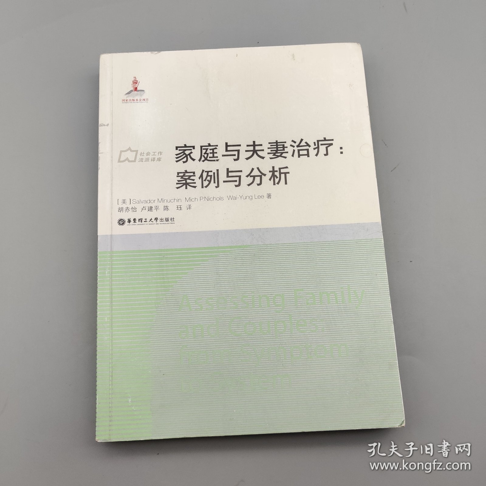 社会工作流派译库·家庭与夫妻治疗：案例与分析