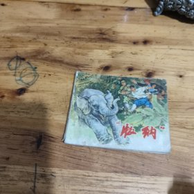 版纳 连环画