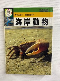 海岸动物 西村三郎著（保育社 1987年初版）彩色图册（正版现货、内页干净）