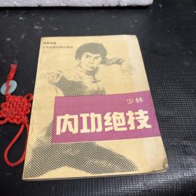 少林内功绝技