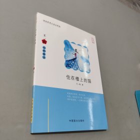 住在楼上的猫