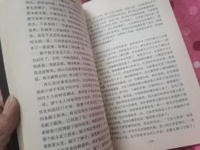 王小波全集 寻找无双