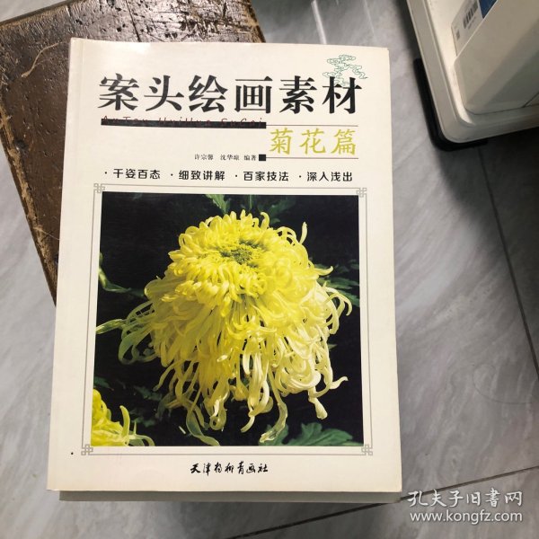 案头绘画素材菊花篇