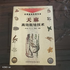 天麻高效栽培技术