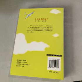 一个高中生的奋斗：那一年让一生改变