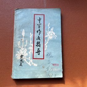 中学作文指导