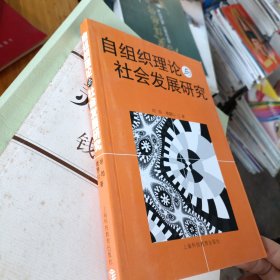 自組織理論與社會(huì)發(fā)展研究