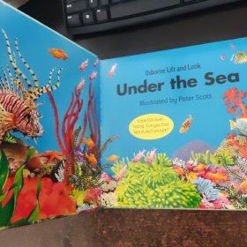 Under the Sea