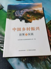 中国乡村振兴 政策 与 实践