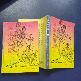 关洛少年游 上下册