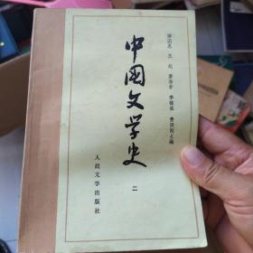 中国文学史 二   有标线和字