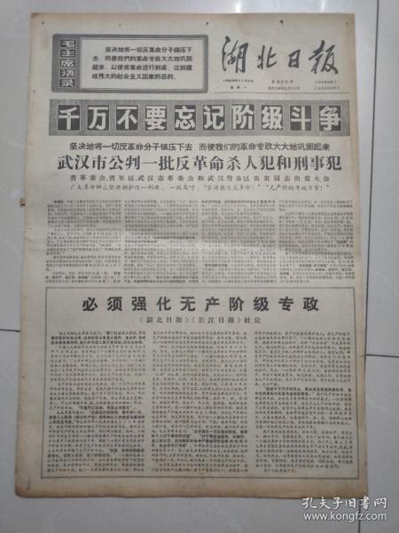 报纸湖北日报1969年11月3日 (4开四版)必须强化无产阶级专政 ；毛主席的革命文艺路线胜利万岁 ；北加里曼丹 人民武装在战斗中成长 壮大。