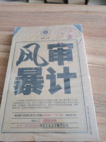 审计风暴【全新未拆刲]