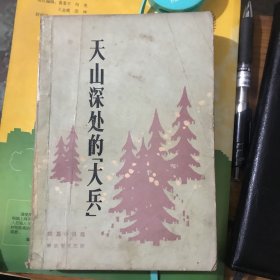 天山深处的“大兵”
短篇小说选