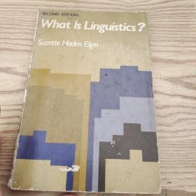 WHAT IS LINGUISTICS? 原版英文书