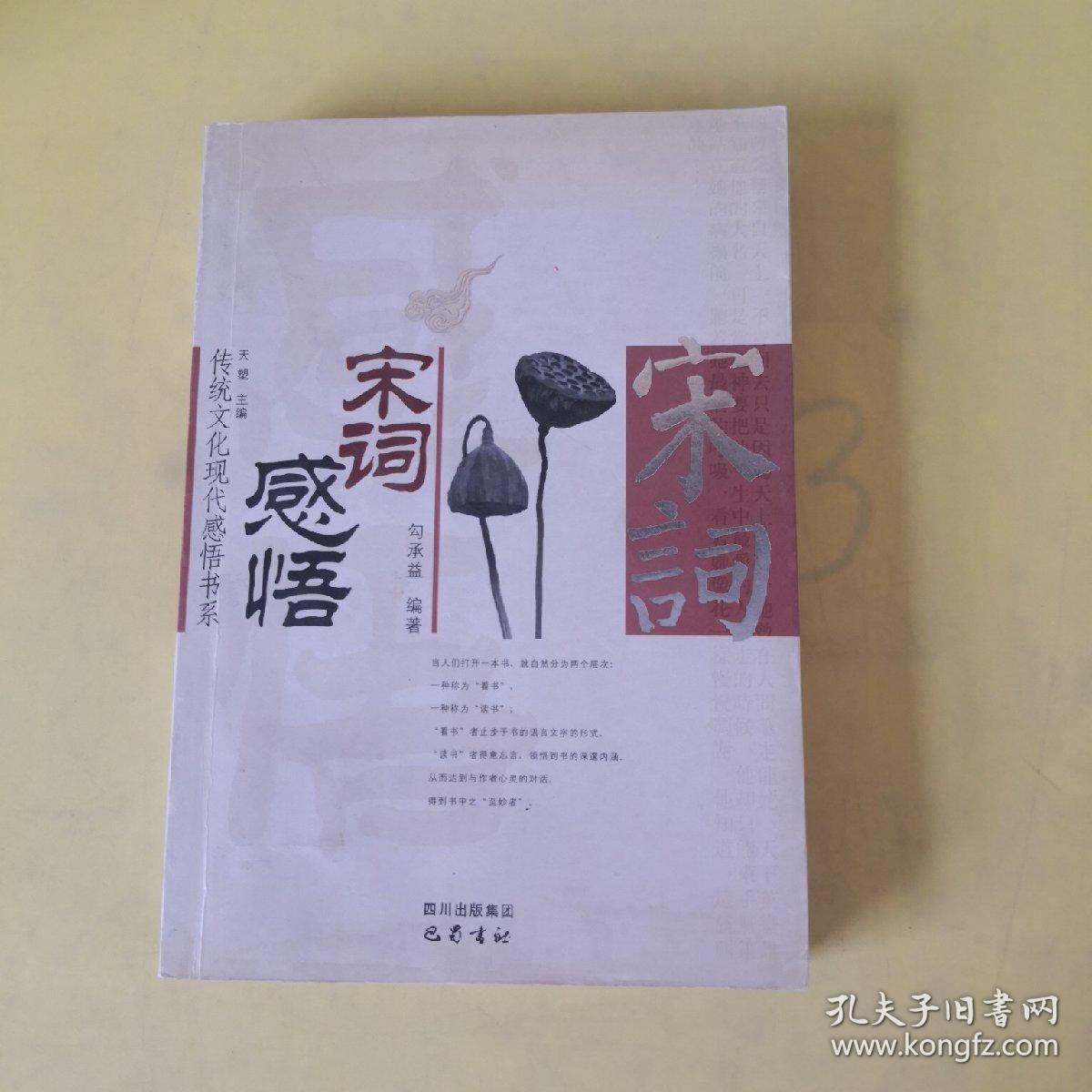 宋词感悟——传统文化现代感悟书系（有写划）