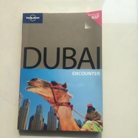 Lonely Planet: Dubai孤独星球旅行指南：迪拜