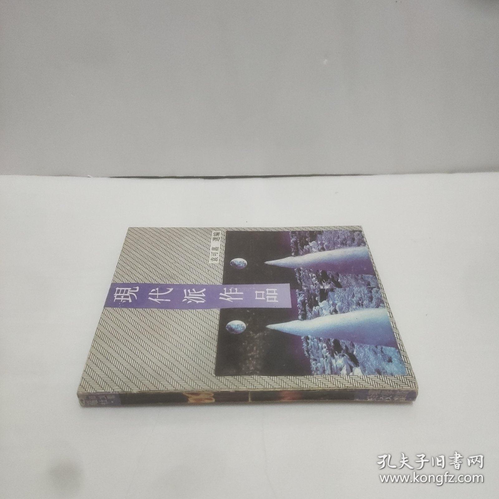 玲珑文学丛书——现代派作品