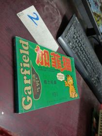 加菲猫 精力旺盛 3