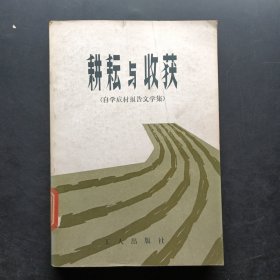 耕耘与收获