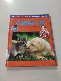 小猫和小狗