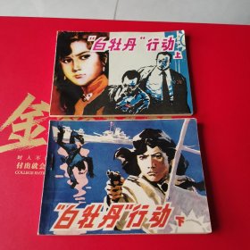 白牡丹行动连环画