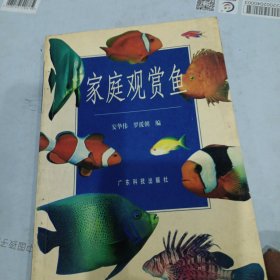 家庭观赏鱼，
