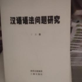 汉语语法问题研究