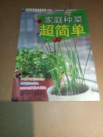 家庭园艺DIY系列：家庭种菜超简单