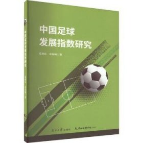 中国足球发展指数研究