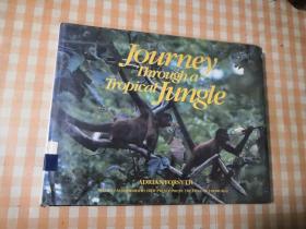 旅行＜通过热带丛林＞Journey.Througha-TropicaLJungLe