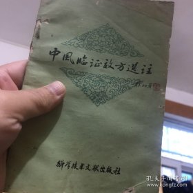 中风临证效方选注