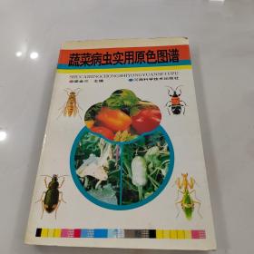 蔬菜病虫实用原色图谱